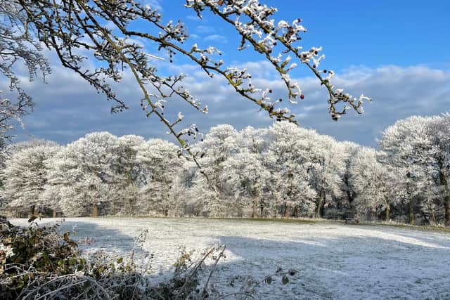 Falsgrave Park pictured in the frost this morning.