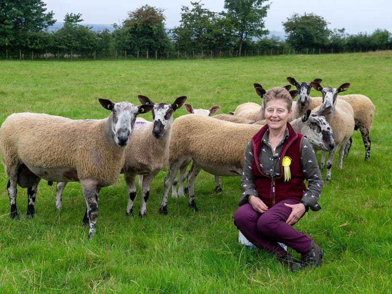 Thornton Le Dale show; Diane Stenton sheep secretary for Thornton le Dale Show with her daughter's Bluefaced Leicester sheep.