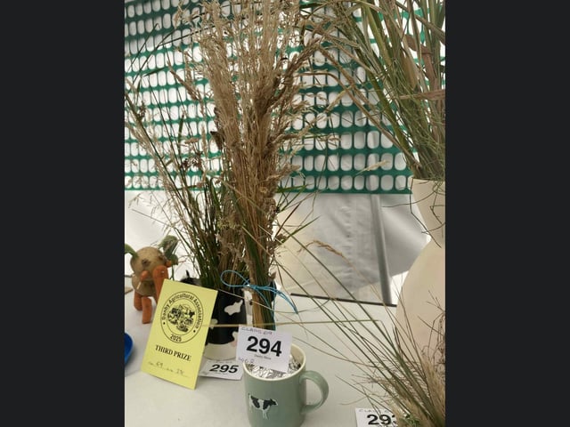 A lovely display