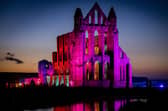 Illuminated Whitby Abbey. photo: Marisa Cashill