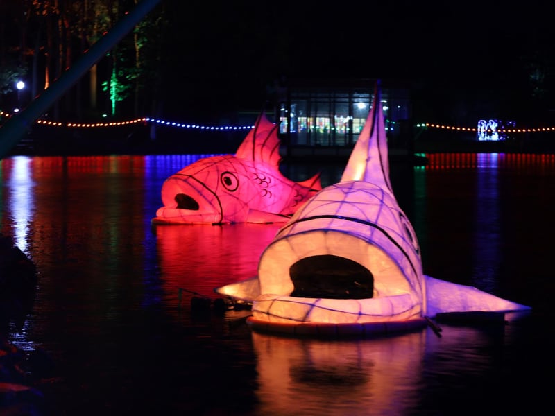 Colourful fish making their way down the lake.