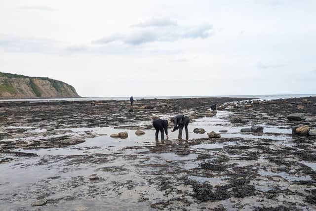 VOLUNTEER SHORELINE SEARCHES LAST YEAR