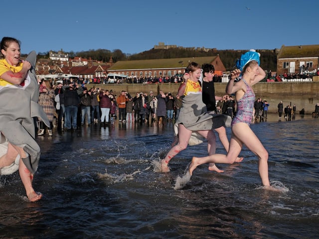 A large crowd gatehred to watch the dippers