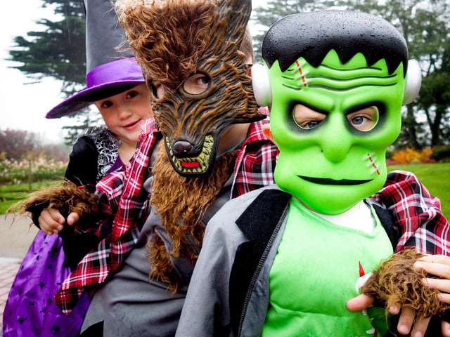Children in their Halloween costumes at the Halloween in the Park event (2015).