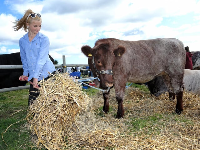 Jessie Barker working at the show.