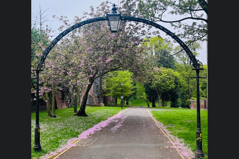 Blossoms are already appearing at this beautiful archway in Scarborough.