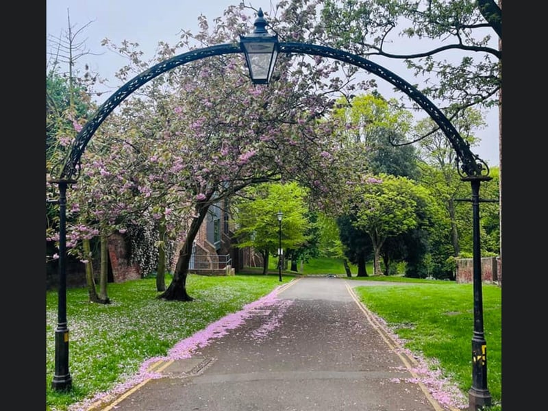 Blossoms are already appearing at this beautiful archway in Scarborough.