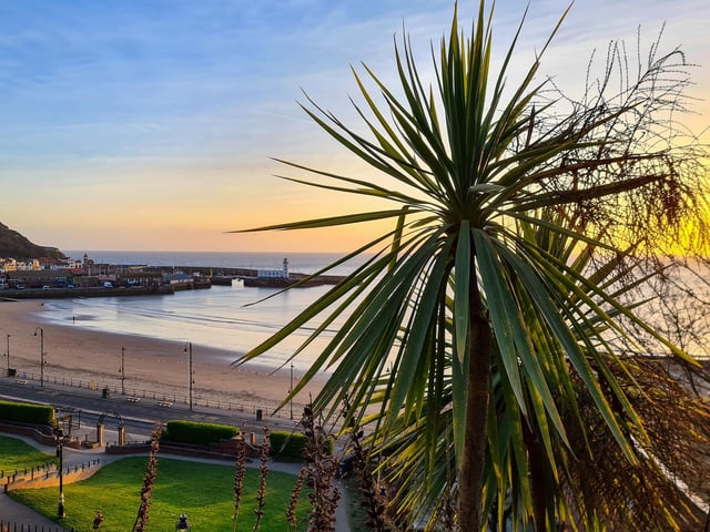 Scarborough sunrise, by Jenna Jackson.