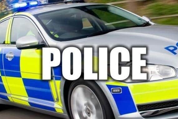 North Yorkshire Police is probing the suspected shooting of a buzzard on the North York Moors.