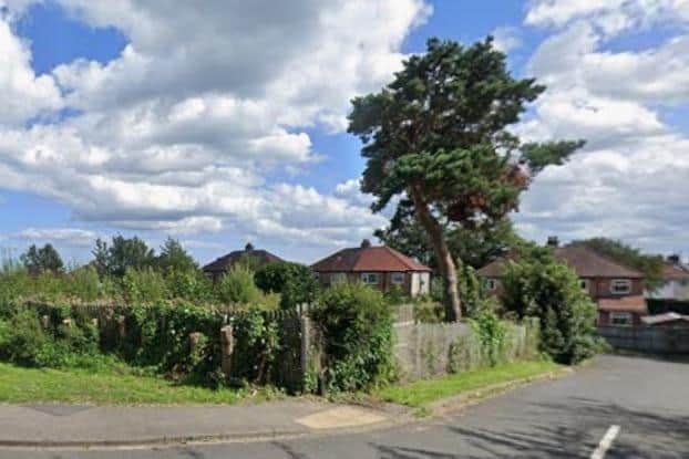 Google Maps In 2023: The Tree At 79 Cross Lane, Newby. Google Maps