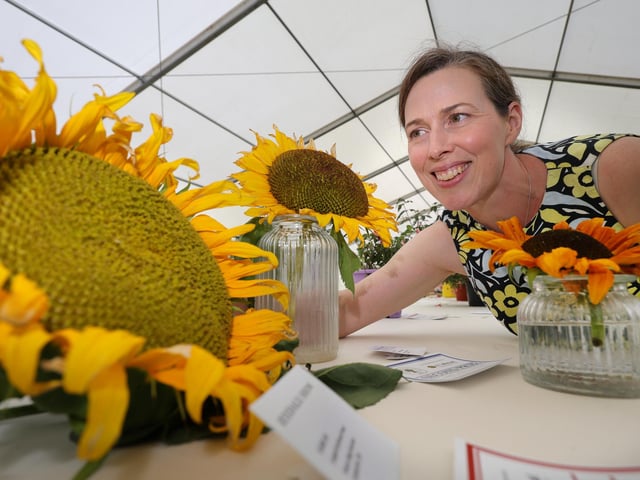 Steward Helen Stephenson views the sunflowers