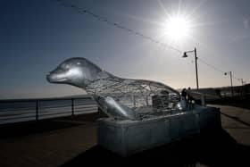 Bonzo the Seal bin basks at the bottom of Cargate Hill, Filey.