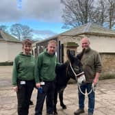 Daffodil the donkey with Melissa Tate, assistant head zoo keeper; John Pickering, head zoo keeper and farmer Rob Nicholson from Cannon Hall Farm. (L to R)