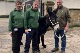 Daffodil the donkey with Melissa Tate, assistant head zoo keeper; John Pickering, head zoo keeper and farmer Rob Nicholson from Cannon Hall Farm. (L to R)