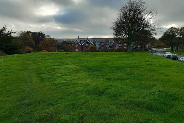 Whitby's Rievaulx Road is one of eight sites borough-wide ringfenced for housing.
picture: Duncan Atkins