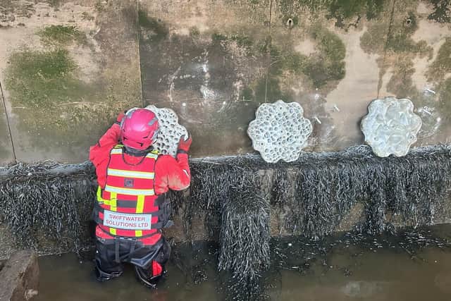 Living seawall panels are being installed in Whitby harbour to create artificial habitats.