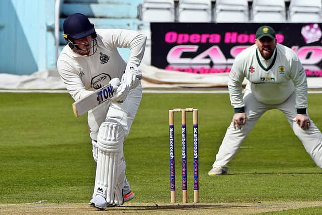 Harry Walmsley sparkled for Scarborough CC despite their failure to qualify for the YPLN T20 Blast finals.