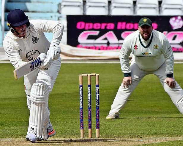 Harry Walmsley sparkled for Scarborough CC despite their failure to qualify for the YPLN T20 Blast finals.