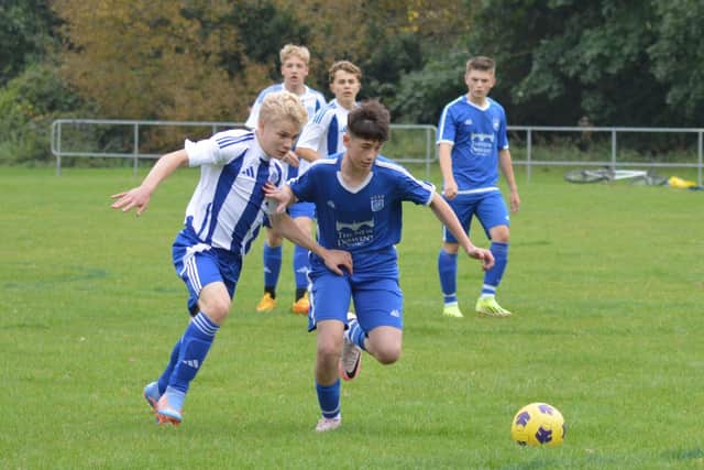 Heslerton Hedgehogs in action.