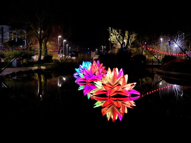 Lighting up the park.