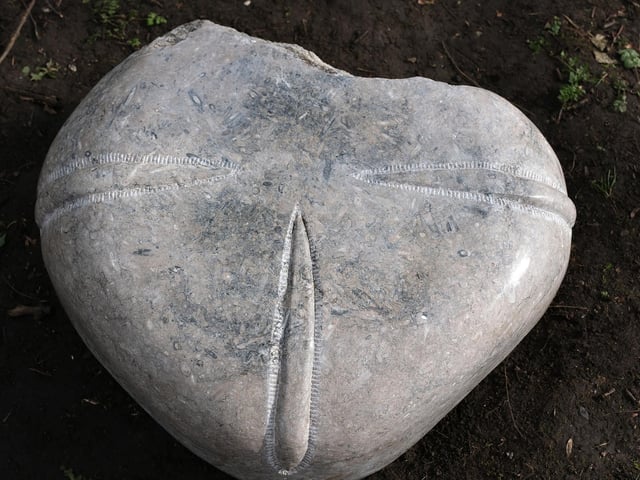 The pieces encourage visitors to interact with the natural world