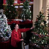 St Marys Church Maid Nicola Hutchinson views the festive trees at the Whitby church.
picture: Richard Ponter