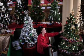 St Marys Church Maid Nicola Hutchinson views the festive trees at the Whitby church.
picture: Richard Ponter