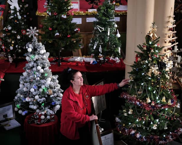 St Marys Church Maid Nicola Hutchinson views the festive trees at the Whitby church.
picture: Richard Ponter