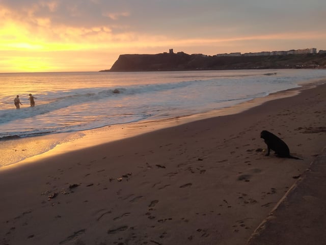 You're not getting me in there!, 7am swim.