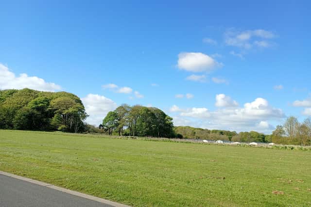 Blue sky over Bridlington Links, by Shelagh E Wallace.