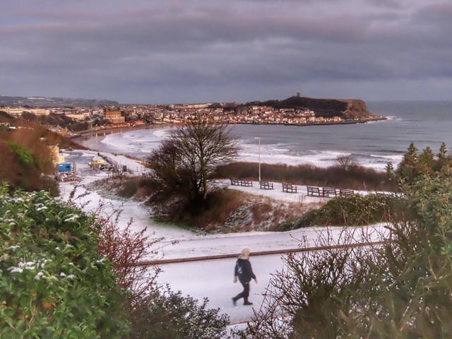 A walk in the snow.