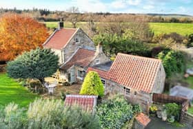 An overview of the captivating cottage and its leafy surroundings.