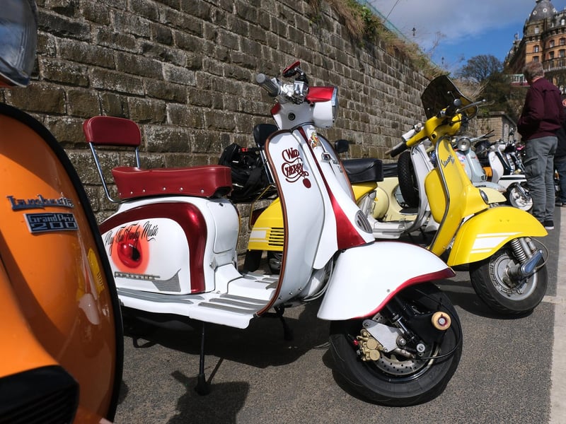 Shinning in the sunshine!