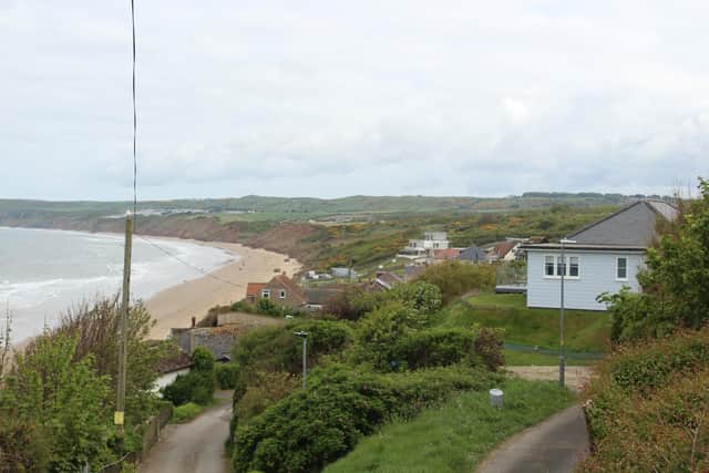 Filey Flat Cliffs. Courtesy Anttoni Numminen/LDRS