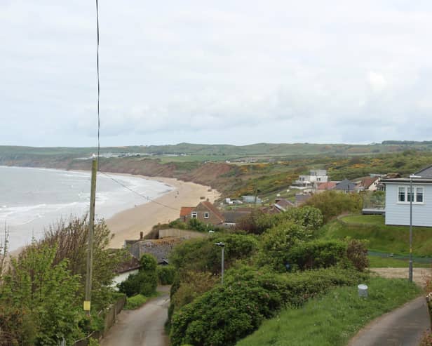 Filey Flat Cliffs.  Courtesy Anttoni Numminen/LDRS
