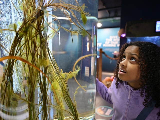 The hatchery is a fascinating place to visit