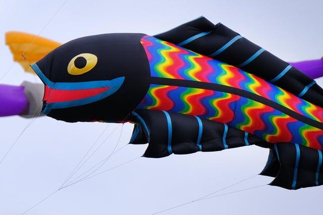 A colourful fish kite.