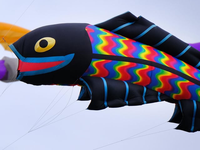 A colourful fish kite.