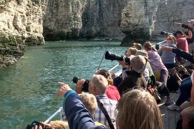 Weather permitting, seabird cruises run from May and offer a fantastic way to see the birds and the cliffs.