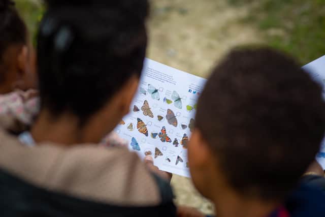 The Natural World column with Butterfly Conservation: the results of ...