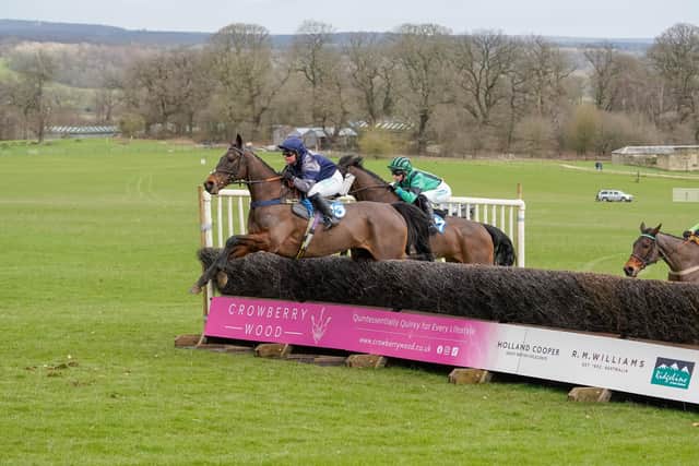 Tag Man won the Spillers Yorkshire Area Conditions Level 2 race. Photo by Tom Milburn Photography