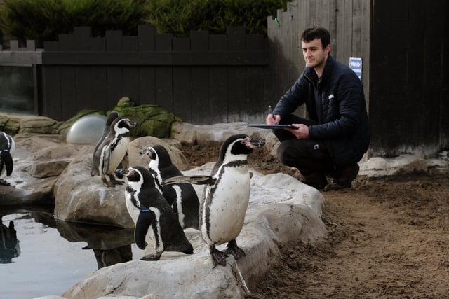 Jordan Woodhead takes stock of the penguins