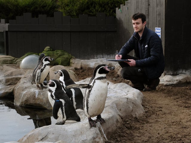 Jordan Woodhead takes stock of the penguins