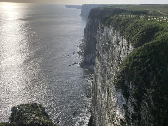 The RSPB Bird Reserve at Bempton Cliffs provides beautiful views of the coast and a number of nature themed activities to keep both children and adults entertained. One Tripadvisor review said "An absolute dream to see Puffins! The amount of sea birds was utterly mind blowing! It was magical to watch the birds in the natural habit.
We had a hot drink and used the spotless facilities. Friendly staff. Dogs welcome too!"