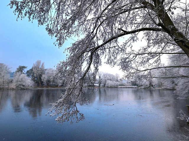 Scarborough Mere wintry scenes, by Beverley Senturk.