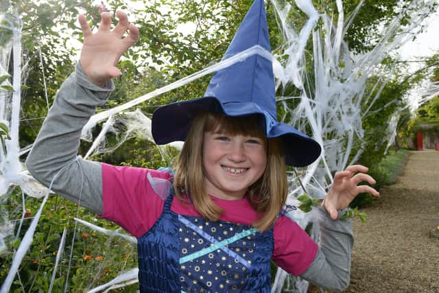 Sledmere House Halloween Pumpkin Hunt