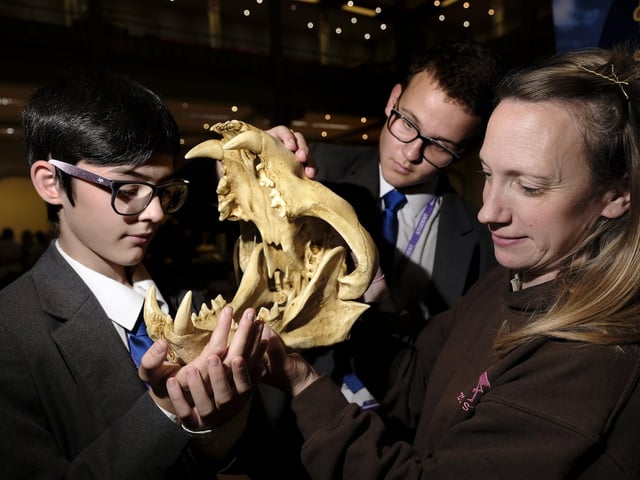 UTC pupils look at a Lion's jaw with Flamingoland representative Caroline Hampshire