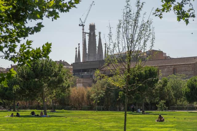 People rest in the shade or sunbathe at a park near the Sagrada Familia basilica in Barcelona. (Photo by Manaure QUINTERO / AFP) (Photo by MANAURE QUINTERO/AFP via Getty Images)