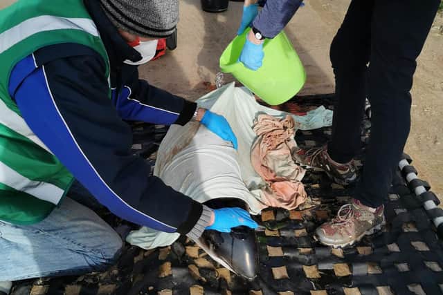 Despite the best efforts of rescuers, the porpoise sadly died. (Photo: British Divers Marine Life Rescue)