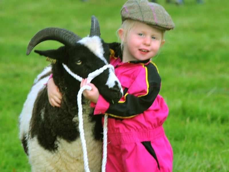 Thornton Le Dale show 2019; Esmay Duddin 3 from Chop Gate giving a Jacob Ewe a cuddle at the 100th Thornton Le Dale show.